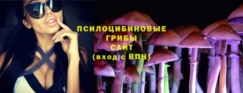 MEGA tor  наркота  Новое Девяткино  Псилоцибиновые грибы Psilocybine cubensis 